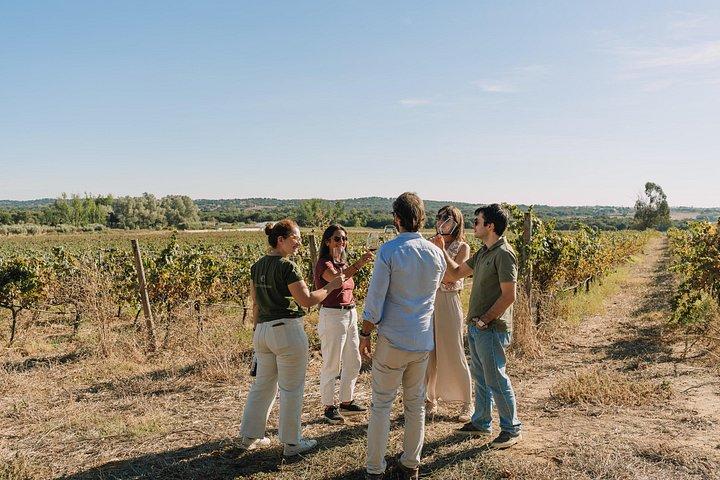 Half Day Wine Tour Around Evora