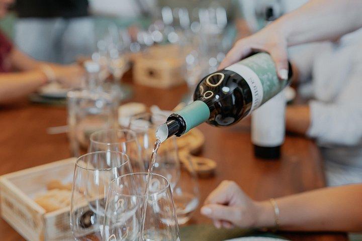 Half Day Wine Tour Around Evora
