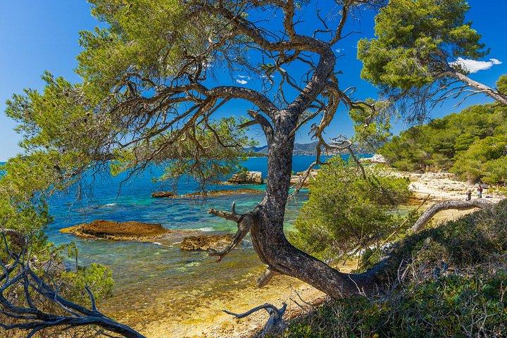 Traghetto da Cannes all'Isola di Santa Margherita