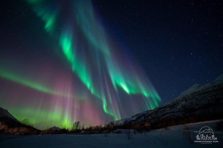 Tromsø Aurora tur for alle