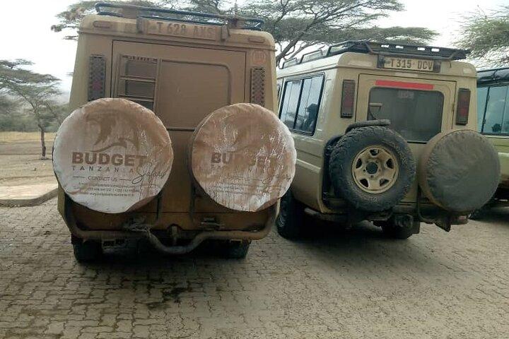 Ganztagesausflug zum Tarangire National Park Von Arusha