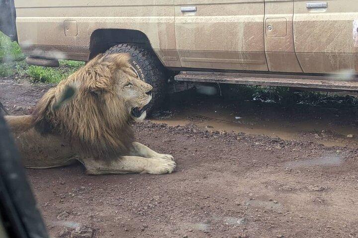 3-Day / 2 Nights Group Safari Serengeti & Ngorongoro Crater