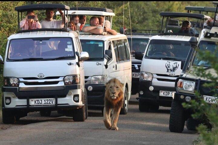 Excursion d'une journée à Maasai Mara au départ de Nairobi