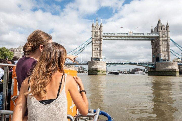 Croisière sur la Tamise et visite privée de 3 heures de Westminster