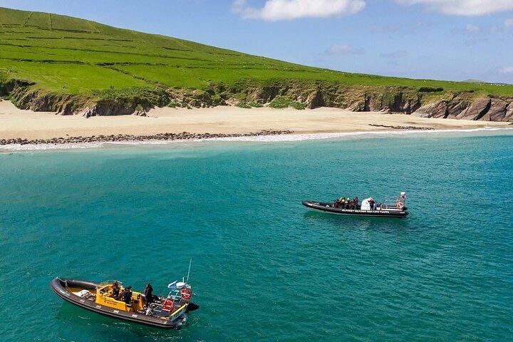 Tour della costola marina dell'isola di Blasket,