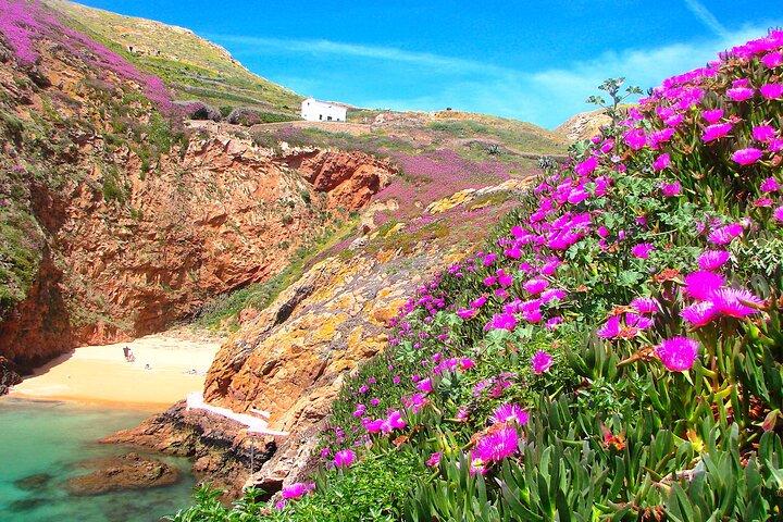 Berlengas Island Catamaran Tour + Snorkling