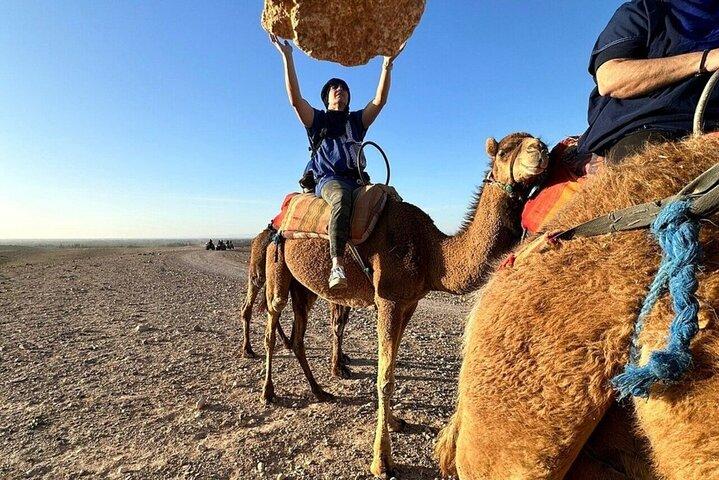 Agafay Desert: Quad Bike & Camel Ride & Magical Diner with Show
