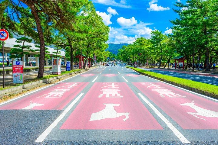 Nara Highlights Visite privée avec chauffeur local (option Guide)