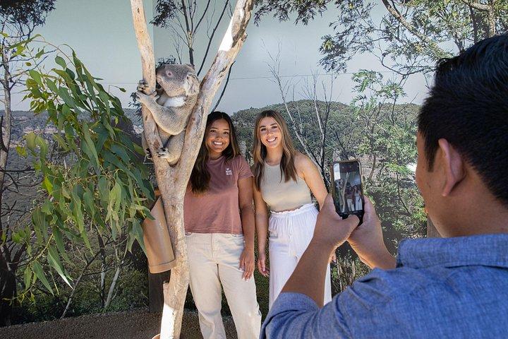 Blue Mountains Adventure w Scenic World, Zoo, Koala Photo & Ferry