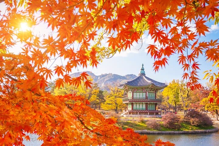 Flexible Private Guided Tour in Seoul (Optional Incheon Layover)