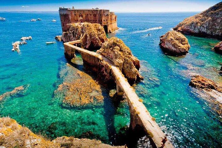 Tour en catamaran des îles Berlengas - Aller-retour