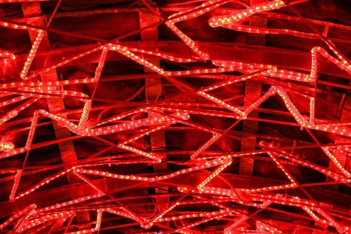 バンクーバーのクリスマス海岸沿いのプライベートなクリスマスウォーキングツアー