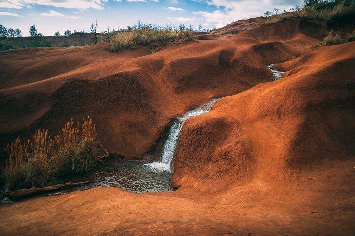 Visite guidée privée de l'île de Kauai-Waimea Canyon au départ de Poipu/Koloa