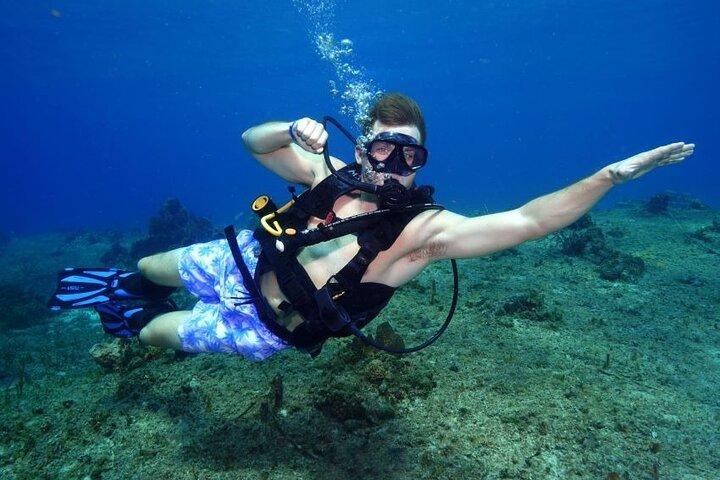 1 Tank Guided Shore Dive para mergulhadores certificados incluindo equipamento