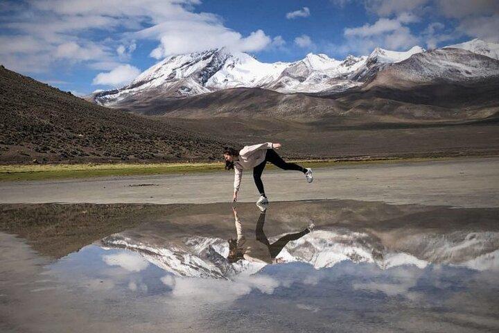 Da Arequipa: Escursione di mezza giornata alla Laguna di Salinas