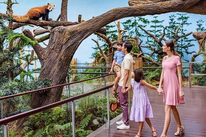 Eintrittskarte für Singapore River Wonders