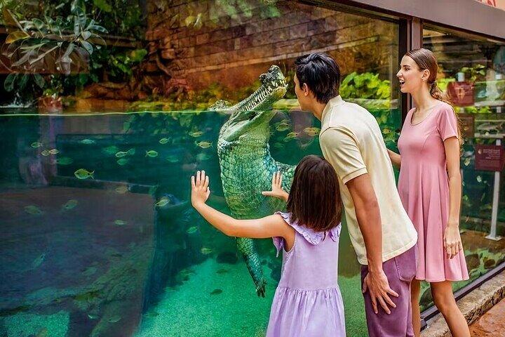 Eintrittskarte für Singapore River Wonders