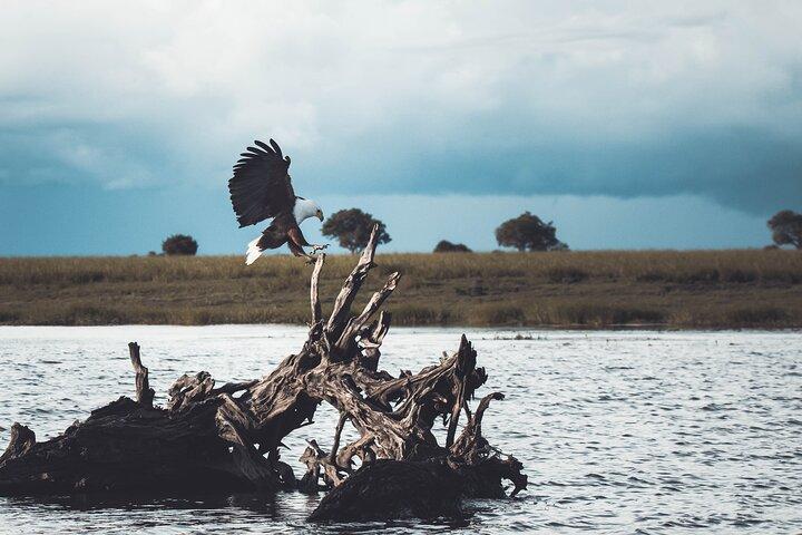 Tour de día completo a Okavango Mokoro