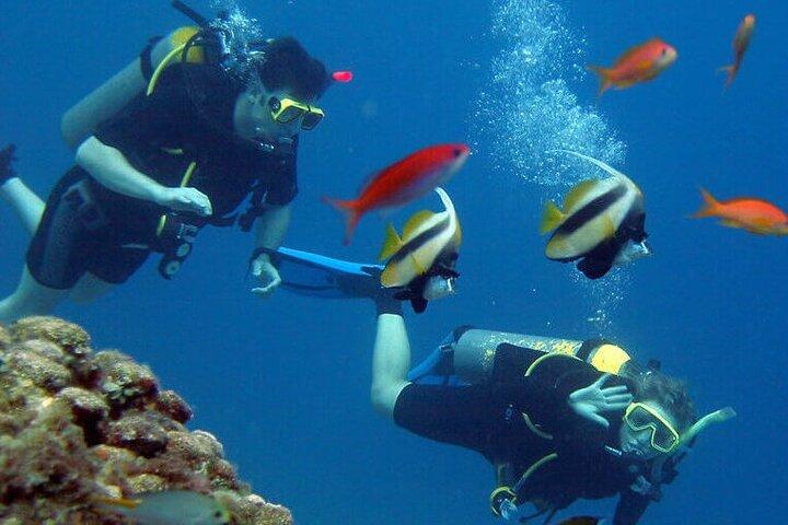 Experiencia de buceo con un instructor profesional