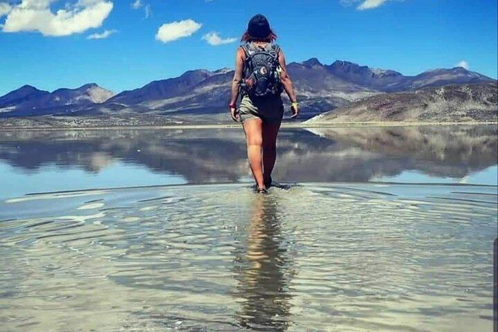 Fra Arequipa: Halvdagstur til Salinas Lagoon