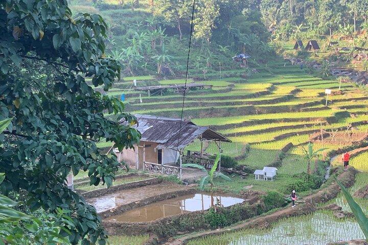 Jakarta: Sentul Pine Forest und Wasserfall Trekking Tour