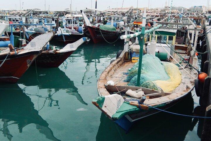 Noord-Qatar Begeleide Expeditie naar Natuur Charms