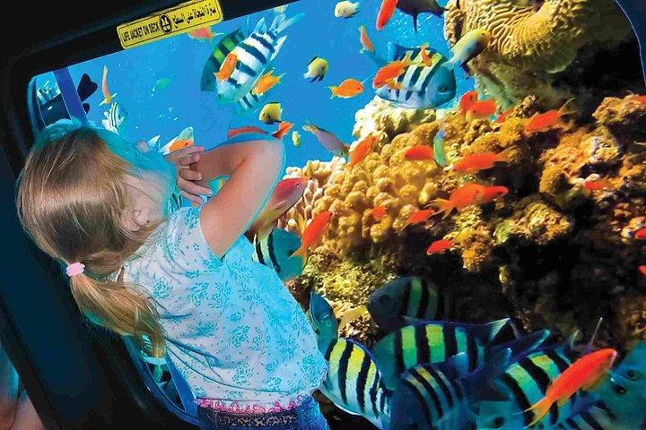 ハルガダでのシュノーケリング体験付き半潜水艦シースコープ
