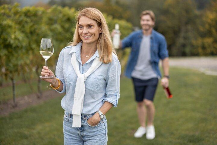 Tour privado e degustação de vinhos na Bodega Gamboa com almoço