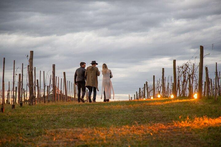 Tour privado e degustação de vinhos na Bodega Gamboa com almoço