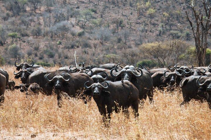 Safari de 2 días en Tanzania en Tarangire y el cráter Ngorongoro
