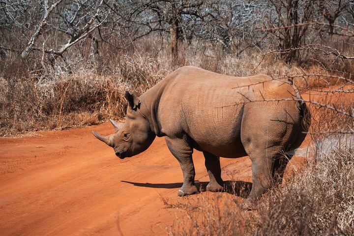 Safari de 2 días en Tanzania en Tarangire y el cráter Ngorongoro