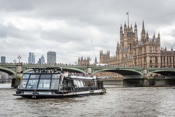 Visite à pied de Westminster, croisière fluviale et entrée à la tour de Londres