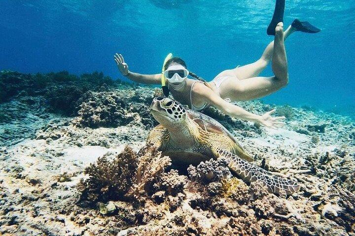 Gili Air: Snorkelen 3 Gili eilanden met GoPro Camera