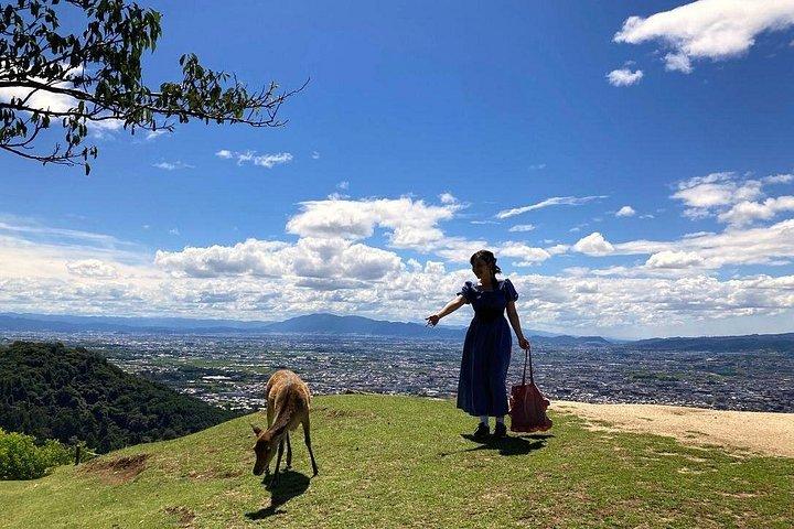 英語ガイド付きの完璧な奈良公園半日バスツアー