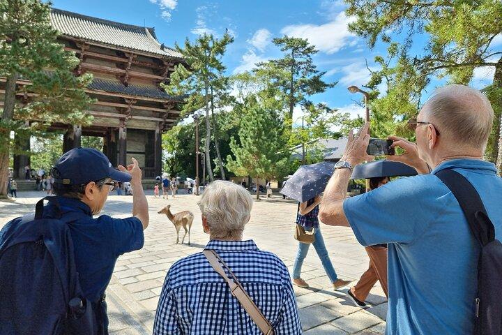 Privattour zum Weltkulturerbe Nara