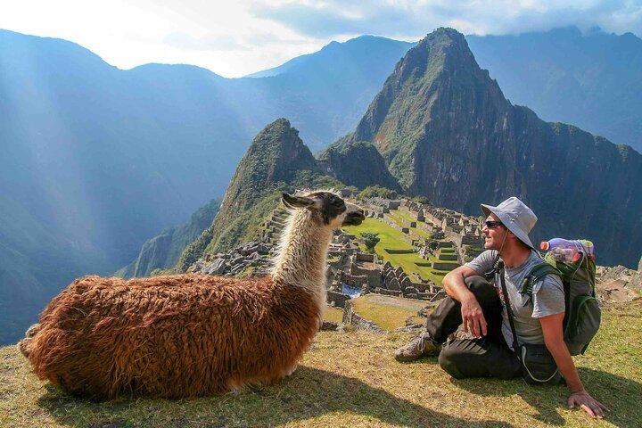 Privéluxetour naar Machu Picchu met lunchbuffet