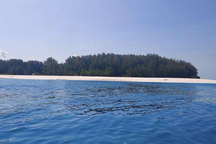 Snorkelen en dolfijnentour op Mnemba Island