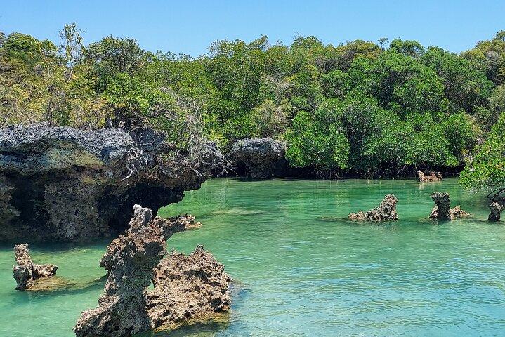 Safari Blauw Zanzibar