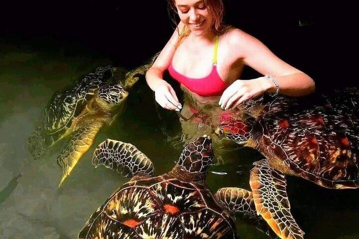 Tour privato di Zanzibar con delfini e spiaggia al tramonto