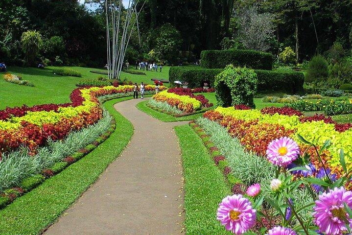 All Inclusive Kandy Private Day Tour fra Colombo eller Negombo