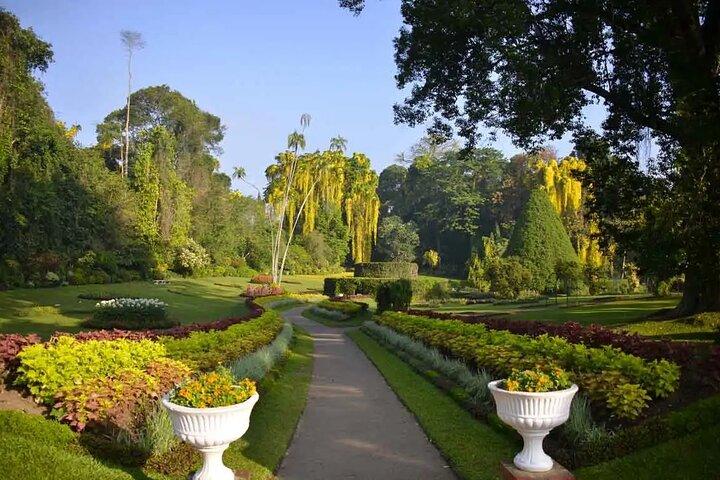 All Inclusive Kandy Private Day Tour fra Colombo eller Negombo