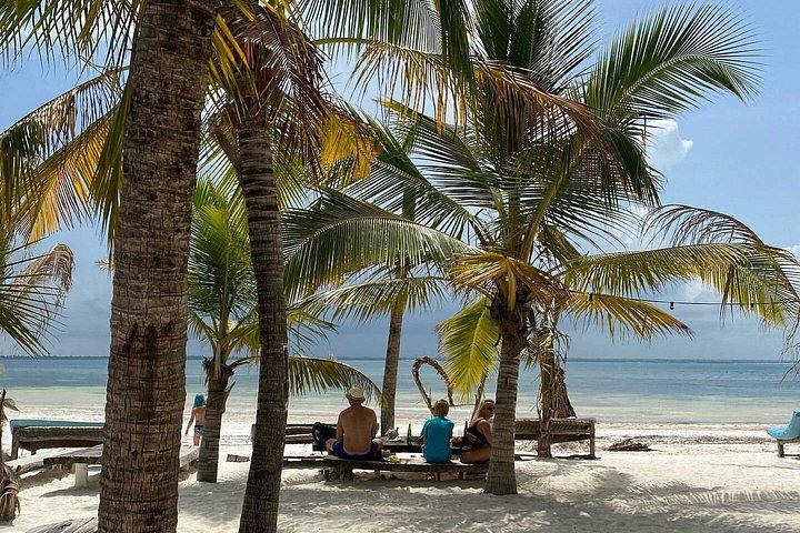 Full - Day Private Zanzibar Tour with dolphins & Sunset Beach