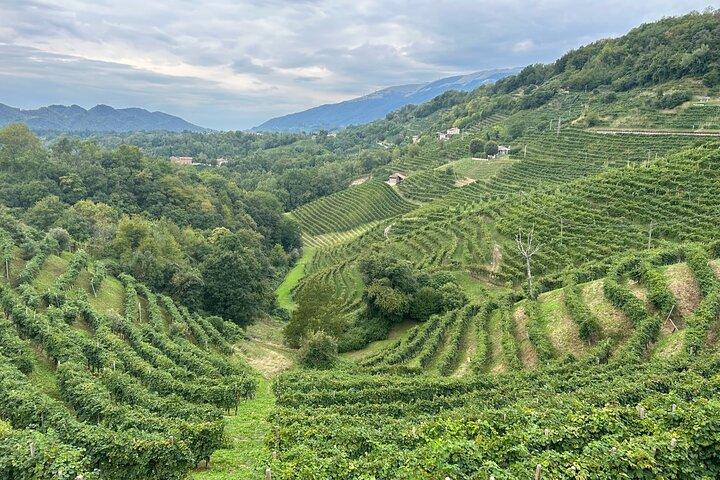Prosecco vinho e comida festa em família ostéria
