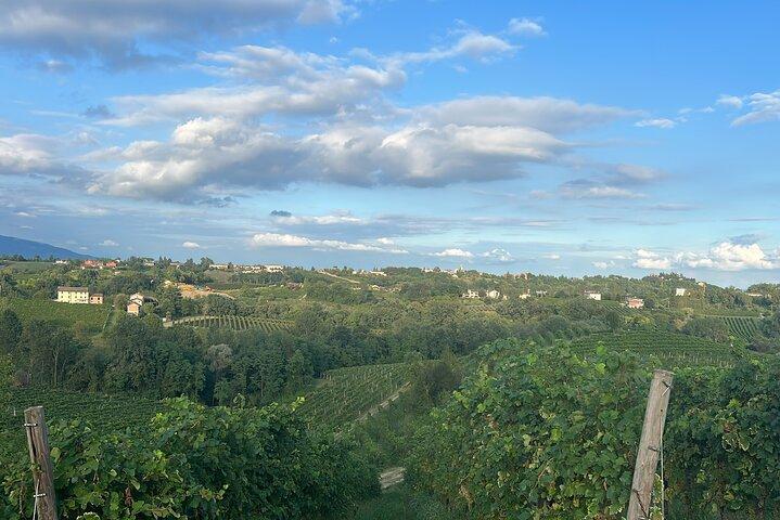 Prosecco vinho e comida festa em família ostéria