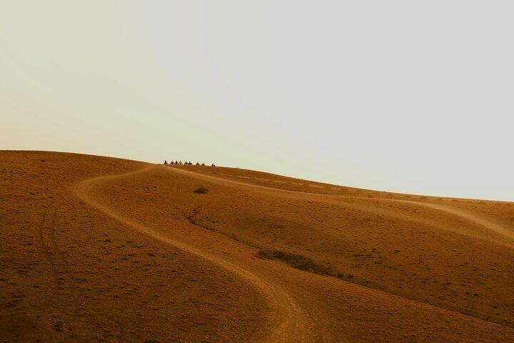 Marrakech : Cena di Agafay con quad e giro in cammello al tramonto