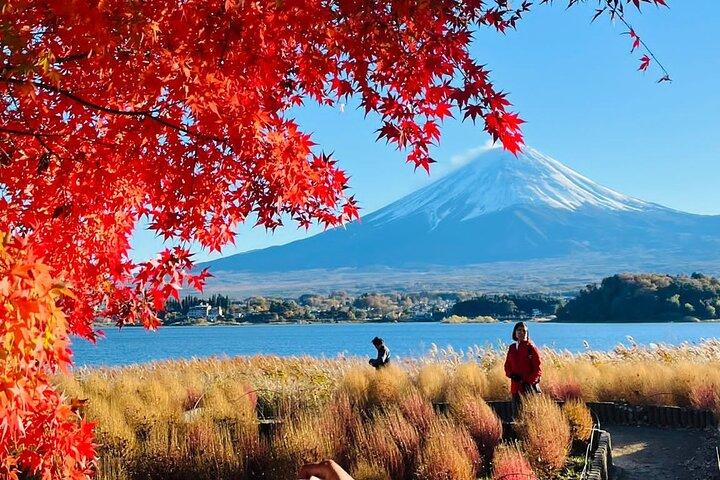 Mt Fuji & Hakone Customizable Private Tour with English Driver