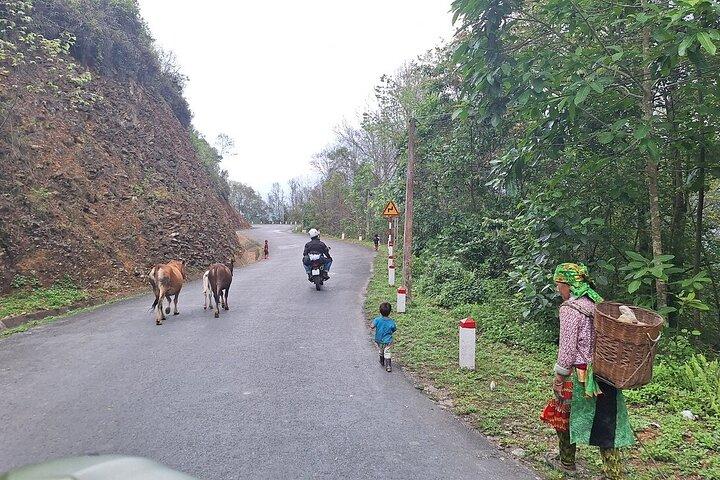 Solo Tour in moto Ha Giang loop 4 giorni 3 notti con Easy Rider