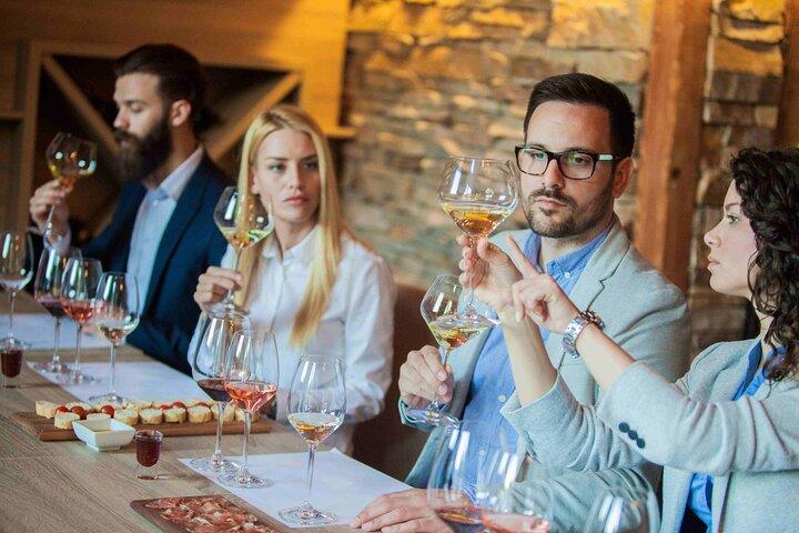 Excursion d'une journée complète de 20 verres au Cap