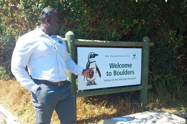 Private Boulder Beach Penguins and Table Mountain Half-Day Tour