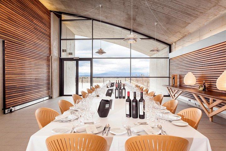 Secret Rioja: Exclusive Winery Access and Tasting Masterclass